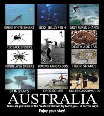 And Taipan snakes! And Blue-Ringed Octopus! And the magpies during ... via Relatably.com