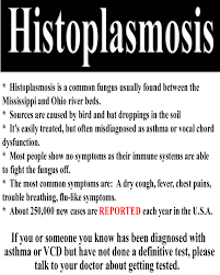 Image result for histoplasmosis