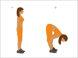 Resultado de imagen de flexibilidad ejercicios