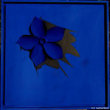 Traumbild V von Walter Hess at artists.de - Künstler, Kunst und ... - 77822_schattenblume-blau