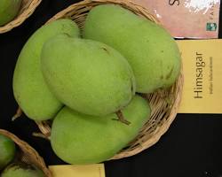 Image of Himsagar mango in Bangladesh