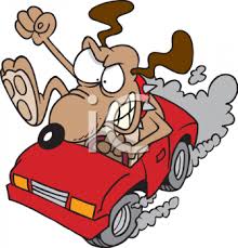 Image result for driving a car clipart