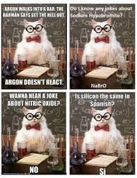 Chemistry Cat cooking meme | Mado Memes | Pinterest | Chemistry ... via Relatably.com
