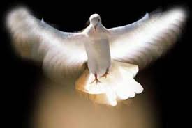 dove holy spirit