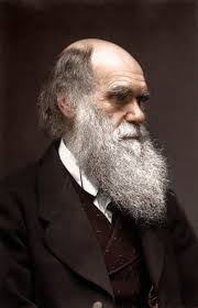 Charles Darwin by Zuzahin - charles_darwin2_by_zuzahin-d6qvxfj