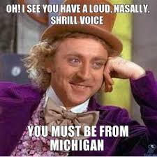 oh-i-see-you-have-a-loud-nasally-shrill-voice-you-must-be-from-michigan-thumb.jpg via Relatably.com