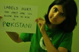 Pakistan: Fighting Stereotypes and Celebrating with India on ... via Relatably.com