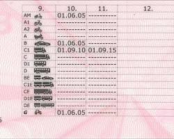 Image of Belgium D1 bus license