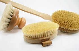 Image result for Photo of dry brushing