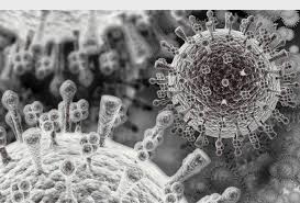 Image result for Genetics ELECTRON  MICROSCOPE