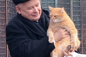 Znalezione obrazy dla zapytania Kaczyński z kotem