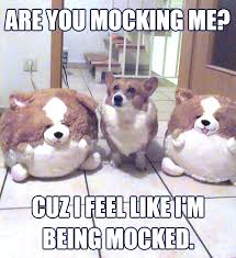 25 Funny Dog Memes: Part 3 - Dogtime via Relatably.com