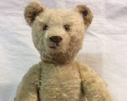 Image of vintage Steiff teddy bear