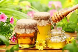 Image result for images of honey