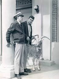 Image result for don knotts in andy griffith show