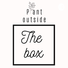 Plant Outside The Box