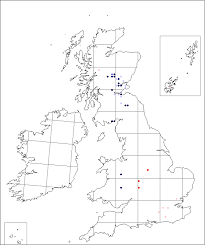 Lychnis viscaria | Online Atlas of the British and Irish Flora