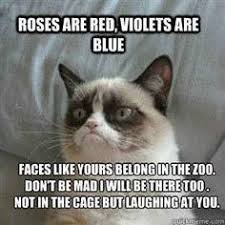 Frowns that will make you smile | Grumpy Cat, Grumpy Cat Meme and ... via Relatably.com