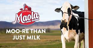 Blog | Maola Local Dairies