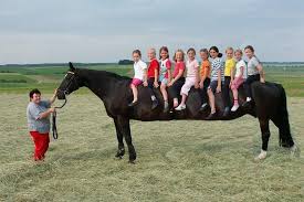 اطول حصان في العالم Images?q=tbn:ANd9GcSC8QnFY3hVpC9fXx7cqG5Xir1G9n1CNAcbUA2Oqmp5hEuUdkyz7A