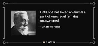 TOP 25 QUOTES BY ANATOLE FRANCE (of 167) | A-Z Quotes via Relatably.com