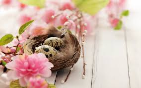 Image result for spring and easter
