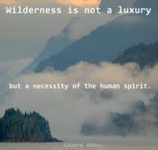 Edward Abbey quote, calligraphy | My works. | Pinterest ... via Relatably.com