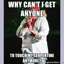 why can&#39;t i get anyone to touch my serpentine anymore? - Axl Rose ... via Relatably.com