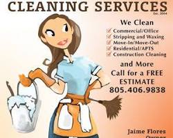 House cleaning business idea, a person cleaning a house