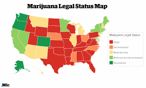 Resultado de imagen de Legalization