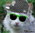 Chat cool