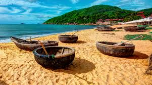 Image result for quy nhơn