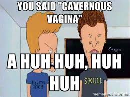 You said &quot;cavernous vagina&quot; a huh huh, huh huh - Beavis and ... via Relatably.com