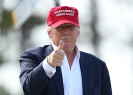 Image result for Donald Trump hat