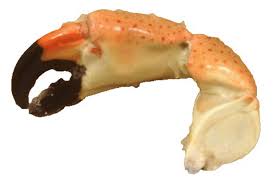 Image result for crab pincers
