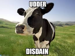 Udder - Cow meme on Memegen via Relatably.com