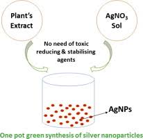 A review on plants extract mediated synthesis of silver nanoparticles ...