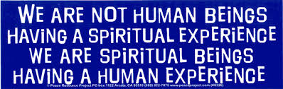 Image result for spiritual not religious