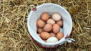Image result for breakfast food on a farm