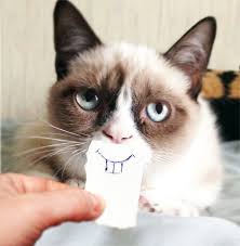My 35 Favorite Grumpy Cat Memes - Part 4 via Relatably.com