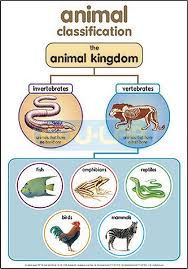 Free Printable Animal Classification Lesson Plans, Taxonomy Lessons