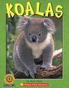 brain bank koalas  ̹ ˻