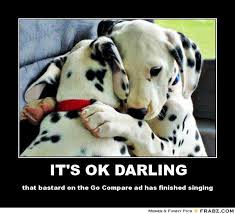 IT&#39;S OK DARLING... - Meme Generator Posterizer via Relatably.com