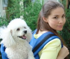 Marjorie M. Liu and her poodle Daisy. - marjorie