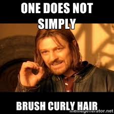 One does not simply brush curly hair - One does not simply - meme ... via Relatably.com