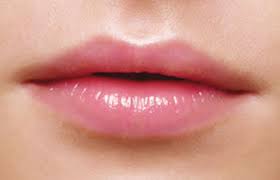 Image result for soft lips