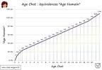Equivalent age chat humain