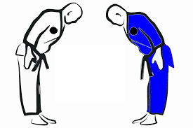 Resultado de imagen de imagenes de karate