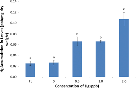 Characteristics of Pelargonium radula as a mercury bioindicator for ...