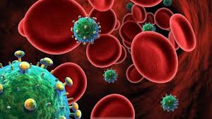 Image result for images of HIV